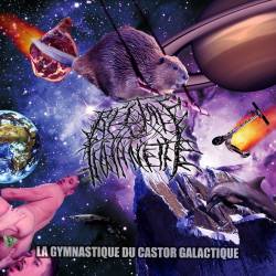 La Gymnastique du Castor Galactique